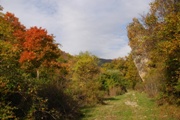 Clicca qui per vedere l'immagine in dettaglio